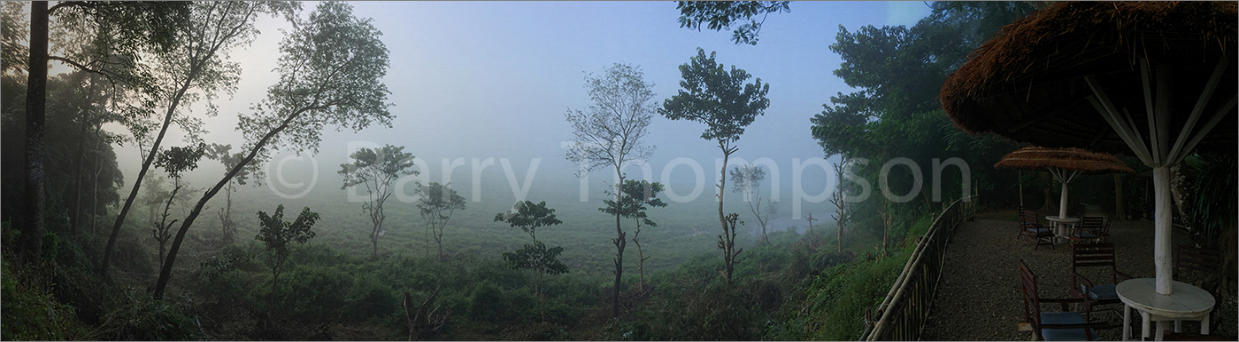 Dawn Mist Chitwan National Park Nepal - Commended Robin Hood